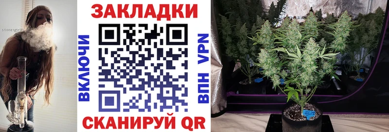 A PVP Плёс