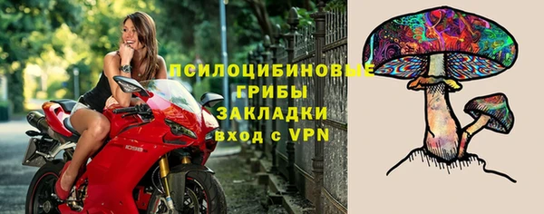 бошки Волоколамск