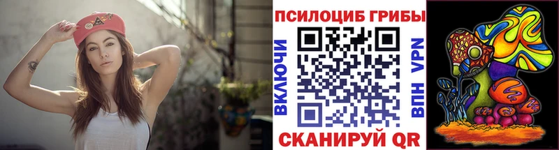 как найти   Плёс  МЕГА ONION  Галлюциногенные грибы Cubensis 